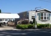 Blue Ribbons at Chief Mobile Home Park